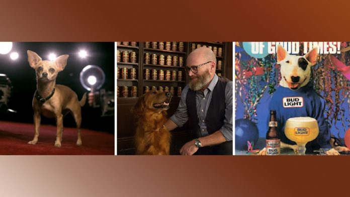 Doggone It! The Most Memorable Real-Life Dogs in Advertising | PopIcon.life