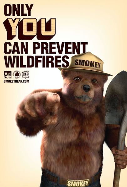 smokey_bear_only_you