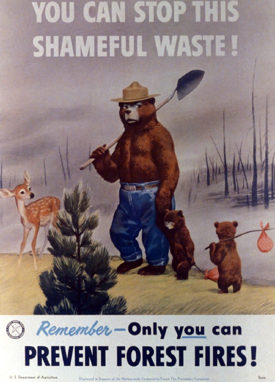 smokey_bear_1951