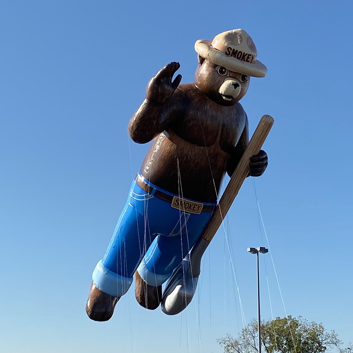 smokey_bear