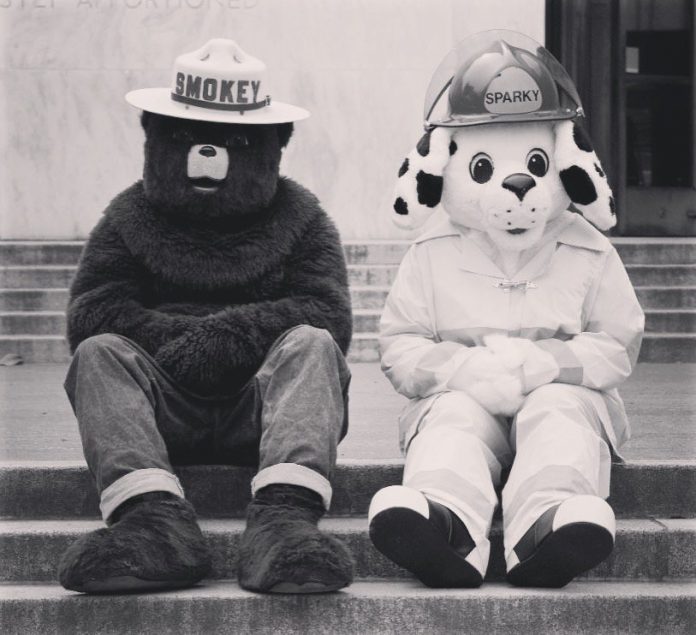 Sparky The Fire Dog 5 Facts Everyone Should Know About NFPA’s Iconic