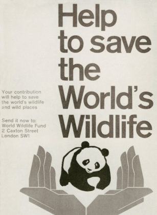WORLD WILDLIFE FUND visual data 6