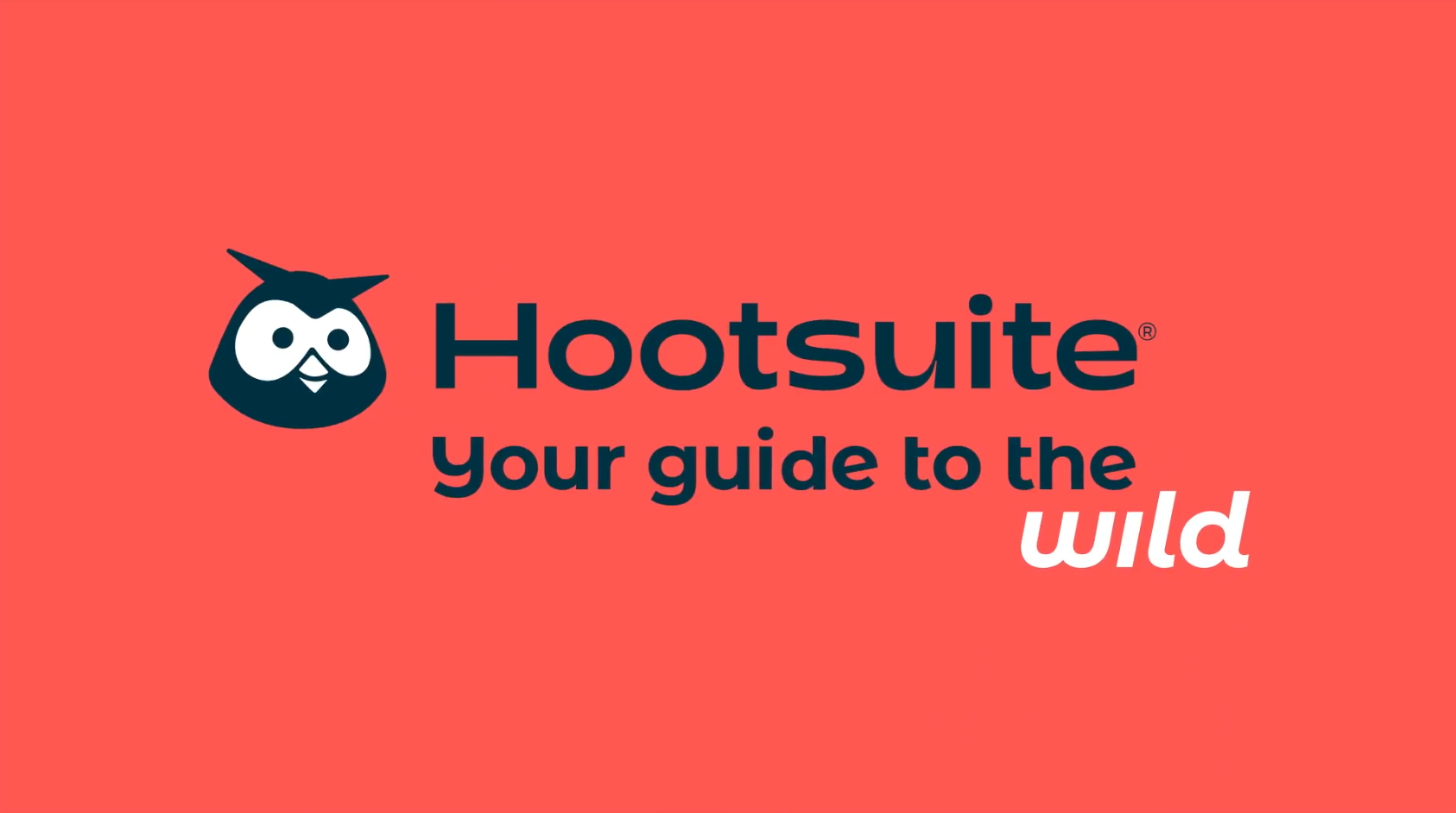 hootsuite logo with owly