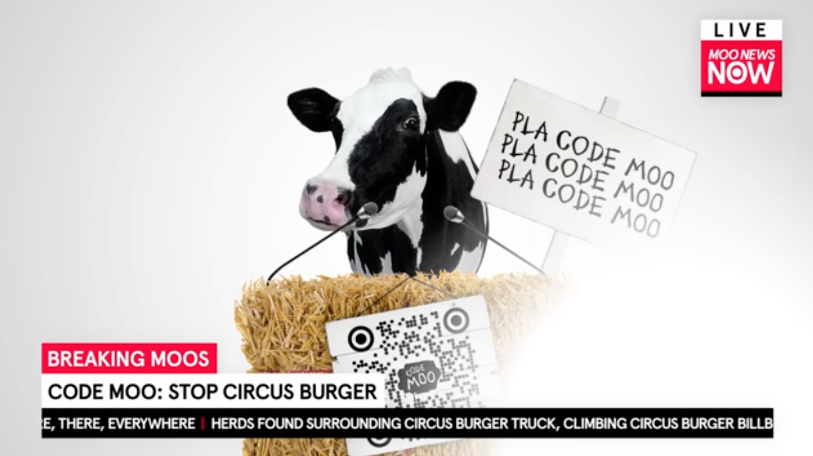 The ChickfilA Cows Are Back — And They Want Your Help On a “Code Moo